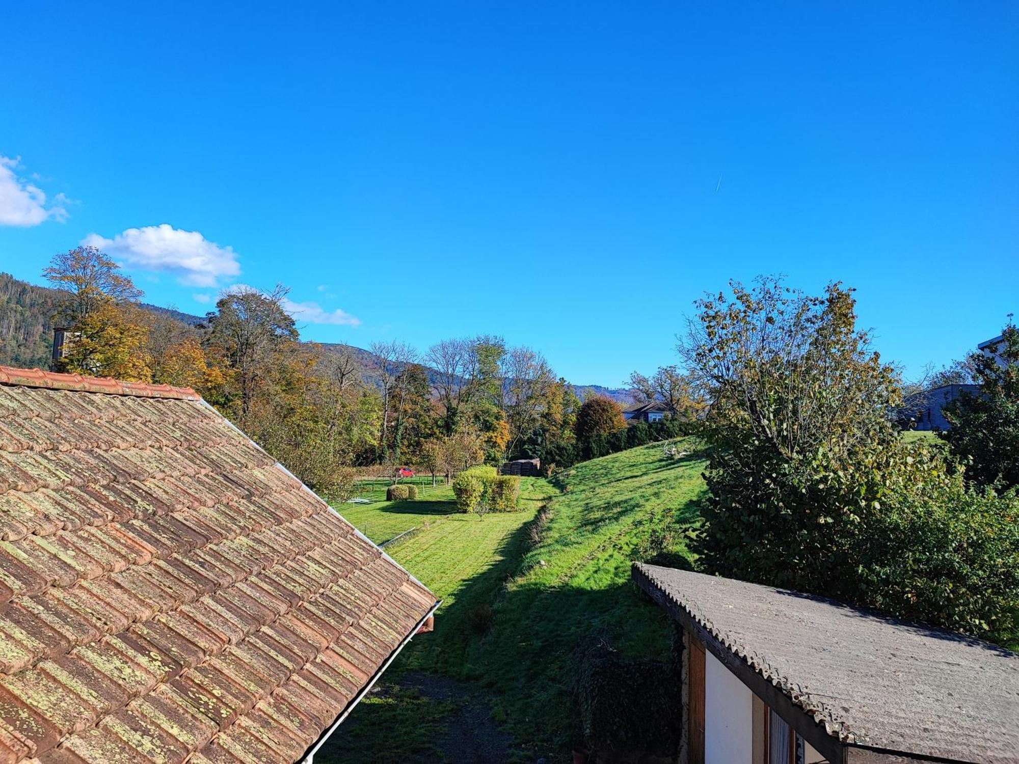 Le Spitzacker Gite Familial Au Calme Husseren-Wesserling Exterior photo