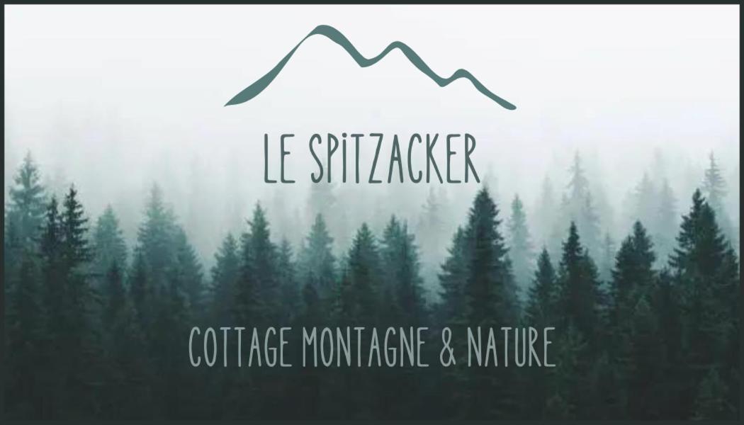 Le Spitzacker Gite Familial Au Calme Husseren-Wesserling Exterior photo